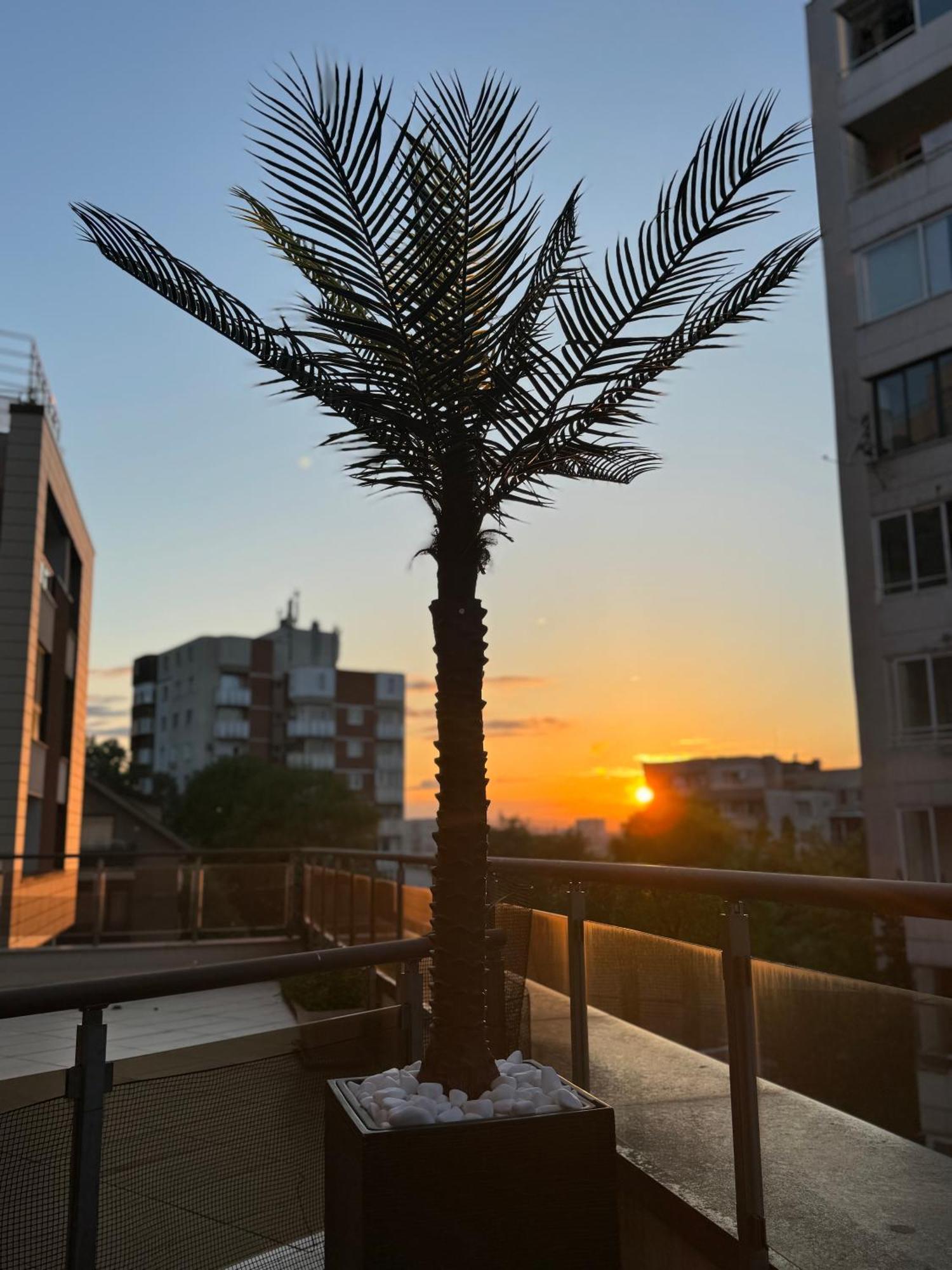 Apartments Las Tres Palmas Sofia Zewnętrze zdjęcie