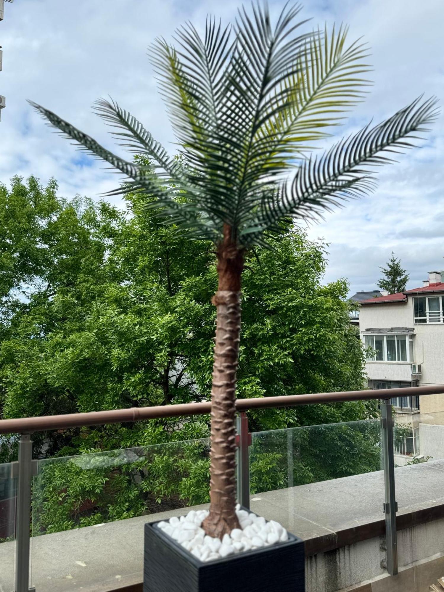 Apartments Las Tres Palmas Sofia Zewnętrze zdjęcie